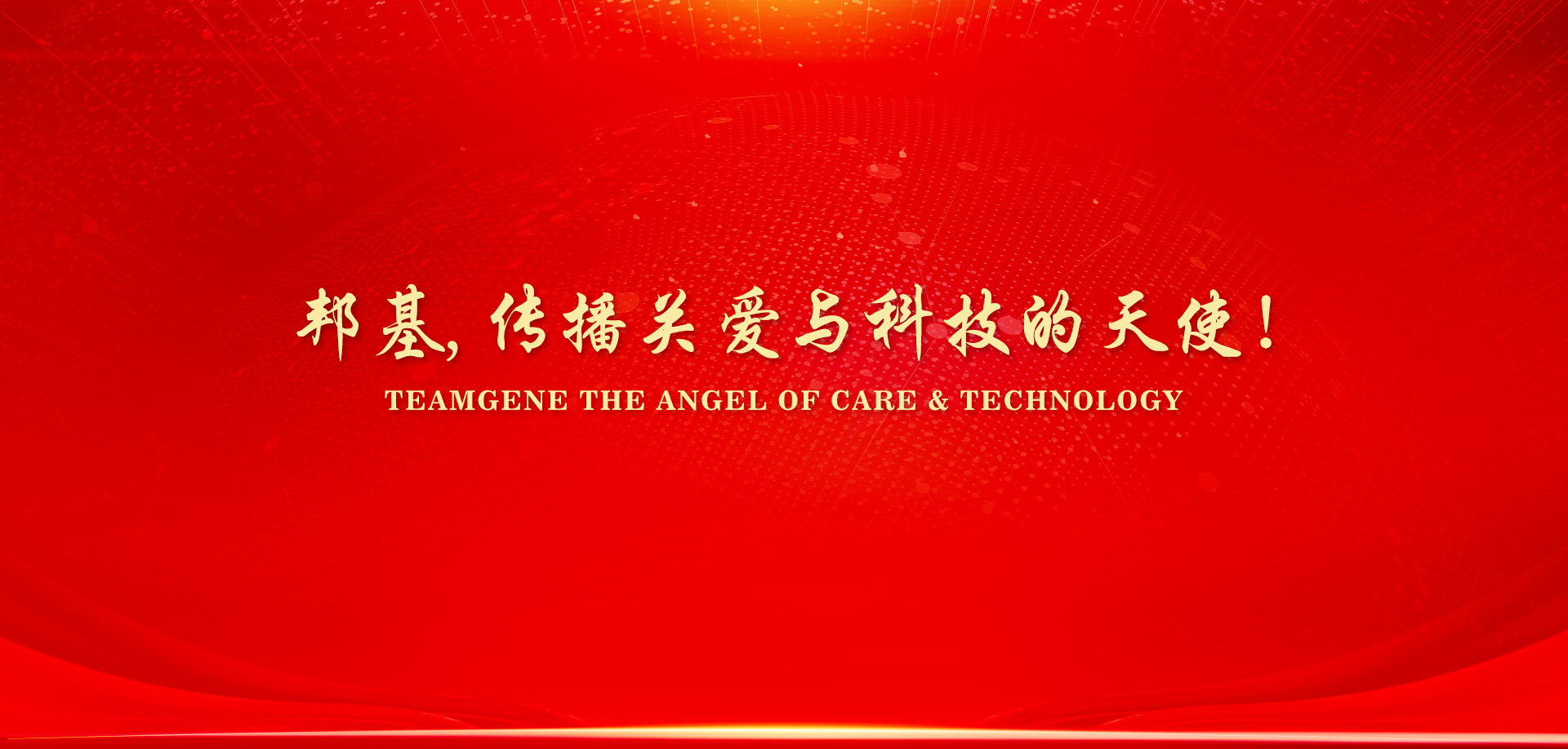 穩步發展 服務社會